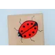 Prénom puzzle coccinelle