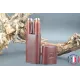 Adornment of wooden pens snake of Guyana