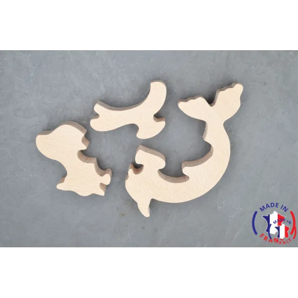 Pack Kit peintures + Puzzle phoque