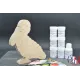 Pack Kit paintings + Pelican puzzle