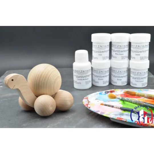 Pack Kit peintures + Tortue boule