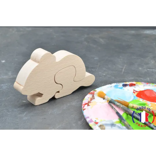 mouse tooth box to paint