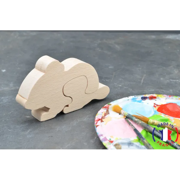 mouse tooth box to paint