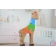 puzzle en bois - puzzle girafe