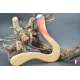 boomerang wallaby