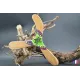 boomerang warramba