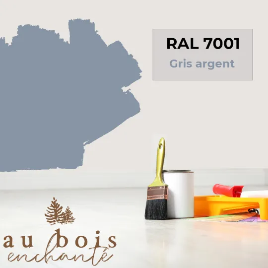 Peinture norme jouet Gris argent (RAL 7001)