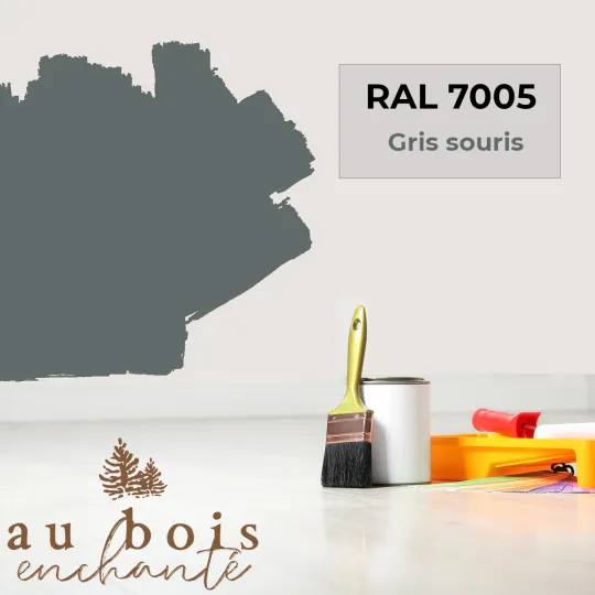 Peinture norme jouet Gris souris (RAL 7005)