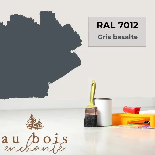 Paint standard toy Basalt grey (RAL 7012)