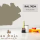 Toy standard paint Yellow Grey (RAL 7034)