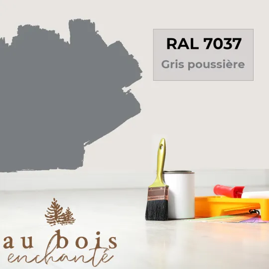 Peinture norme jouet Gris poussière (RAL 7037)