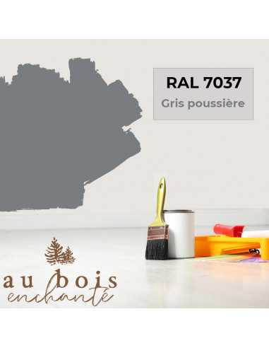 Peinture norme jouet Gris poussière (RAL 7037)