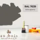 Peinture norme jouet Gris quartz (RAL 7039)