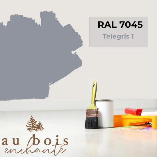 Peinture norme jouet Telegis 1  (RAL 7045)