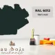 Peinture norme jouet Vert noir (RAL 6012)