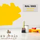 Tint RAL1003