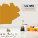 Tint RAL 1005