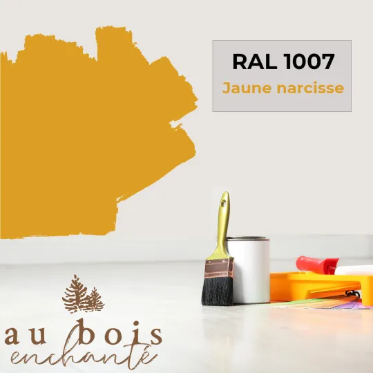 Teinte RAL 1007