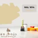 Teinte RAL 1014
