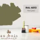 Teinte RAL 6013