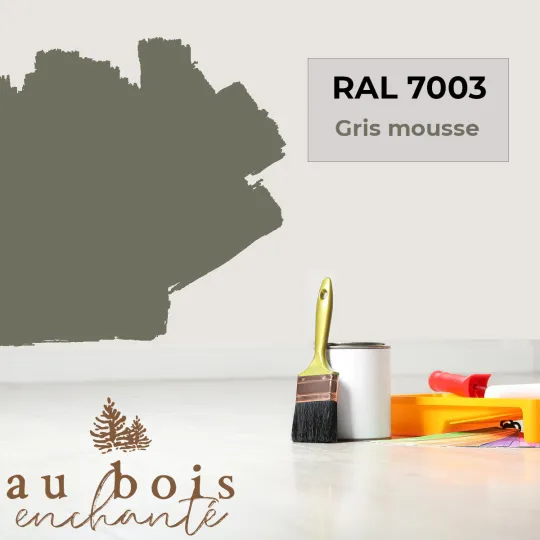 Teinte RAL 7003