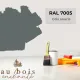 Tint RAL 7005