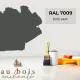 Teinte RAL 7009