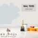Tint RAL 7035