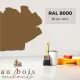 Teinte RAL 8000