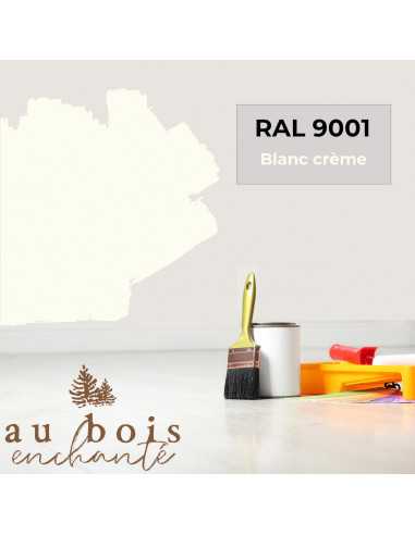 Tint RAL 9001