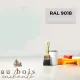 Teinte RAL 9018