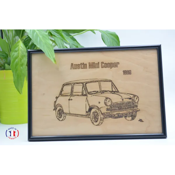 Tableau Austin Mini Cooper