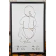 Birth Baby Chart in White Background