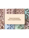 Introductory course on the scroll saw