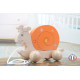 wooden toy - Orange pull snail
