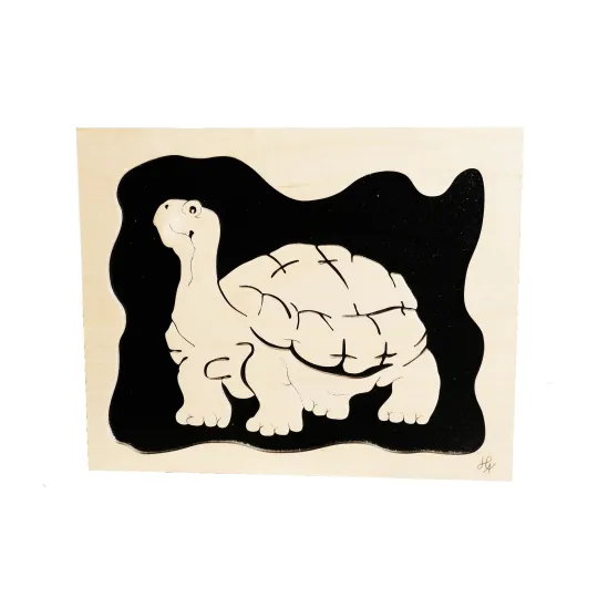 Painting turtle twisted