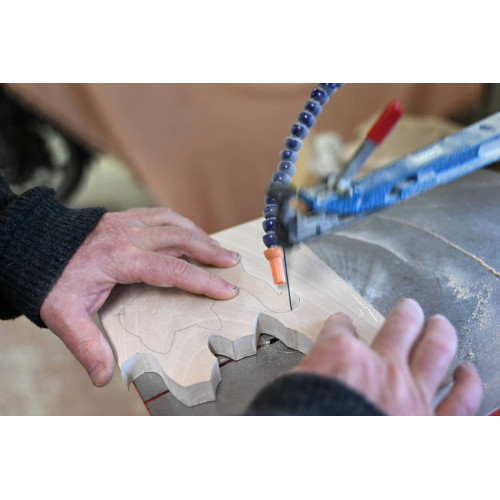 Discovery course with a scroll saw